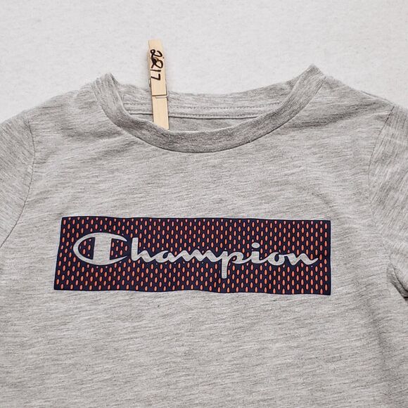 Campion Casual Graphic Short Sleeve T-Shirt Toddler Boys Size 3T Gray Blue - Picture 1 of 9